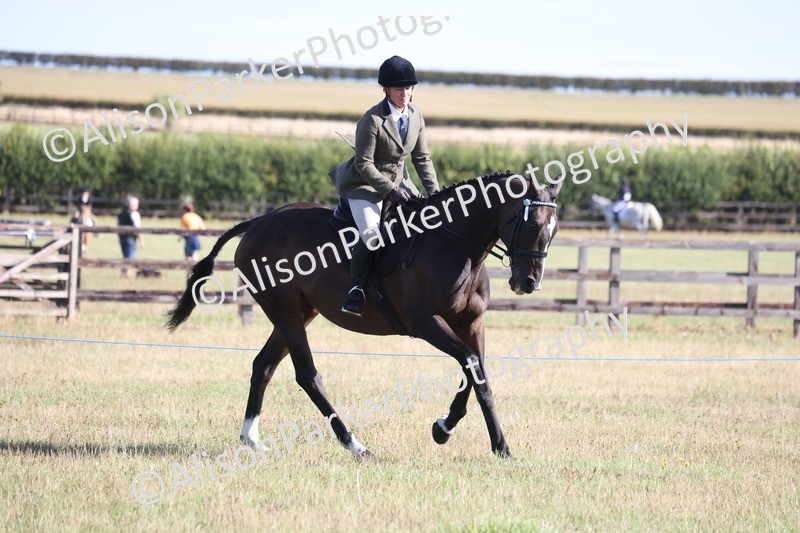 20260906-0363 - Class 14 - Ex Racehorse