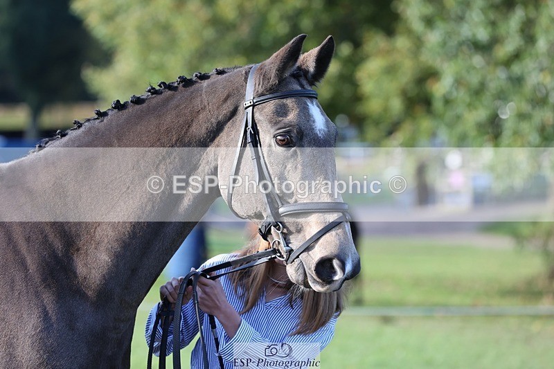 241027-093226-15342 - 319-Neve.Webber-MR.BUZZ