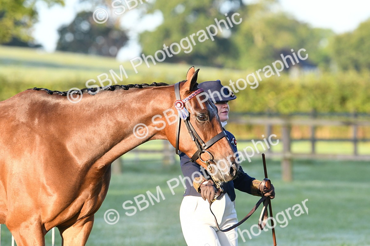SBM_32447 - S15 - Condition & Turnout In Hand