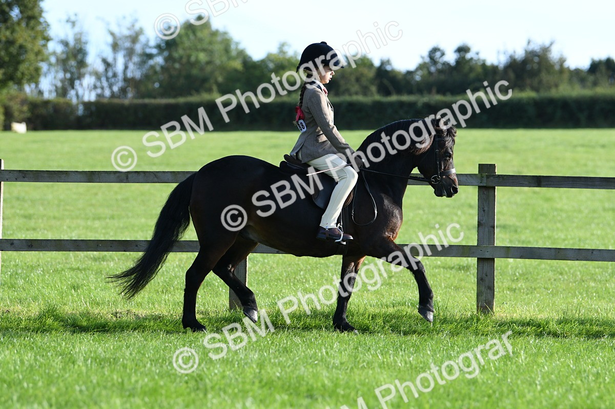 SBM_54004 - S23 - 1st Ridden Mountain & Moorland Pony