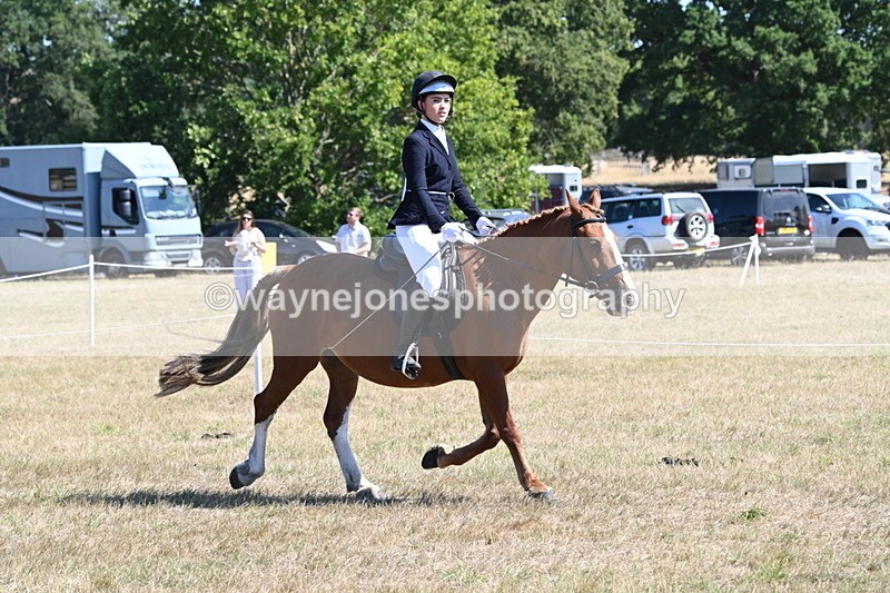 WJ6_8340 - Class 37a Best Loan Pony Ridden