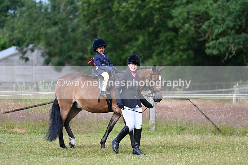 WJ7_4370 - Class 1 Lead Rein Pony