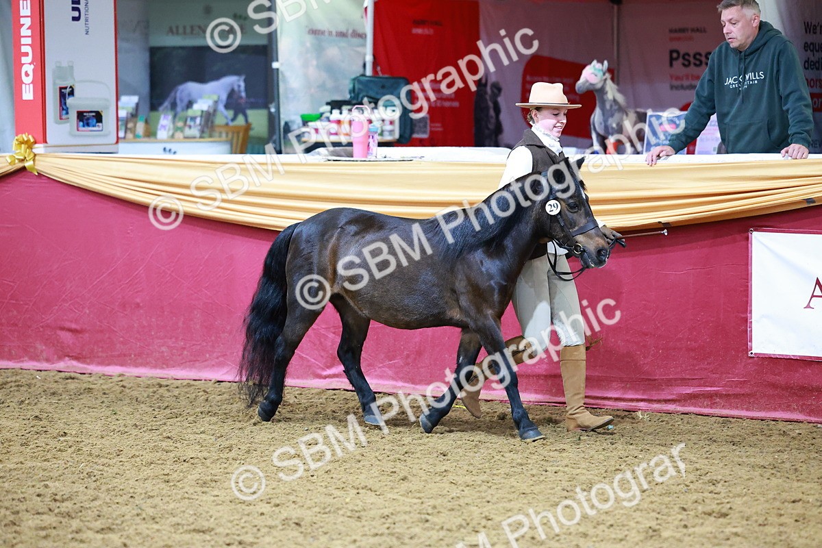 SBM_15990 - Class 901 - Sup Final - IH Diamond