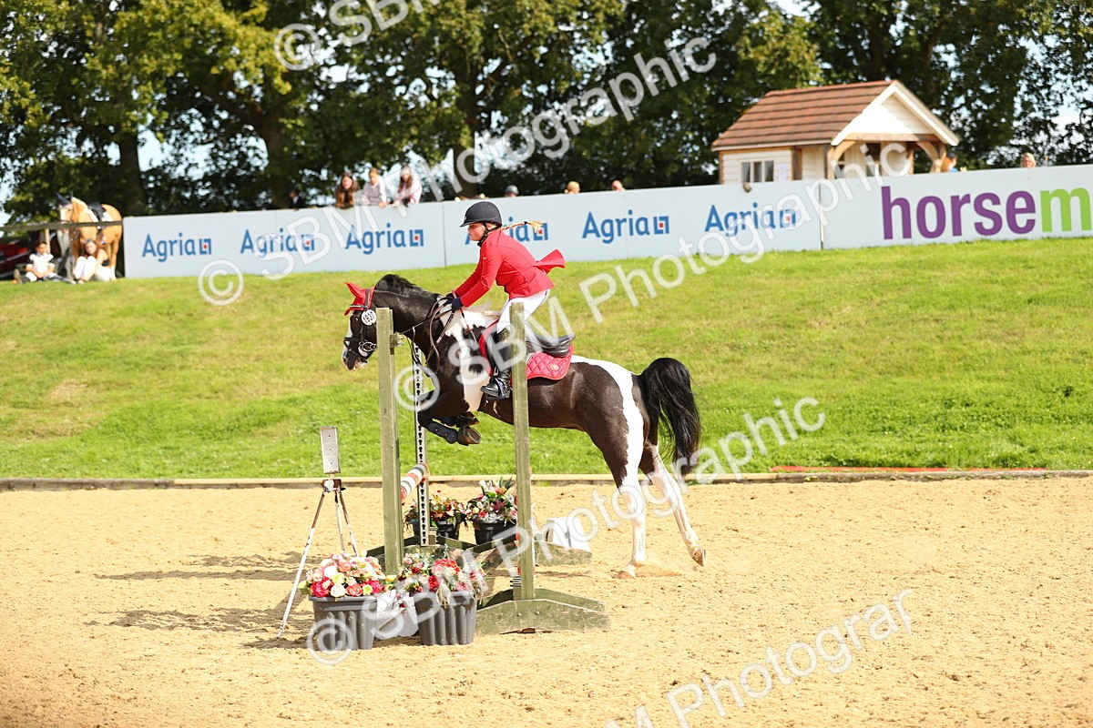 SBM_67925 - J17 - Junior Pony 80cm Championship