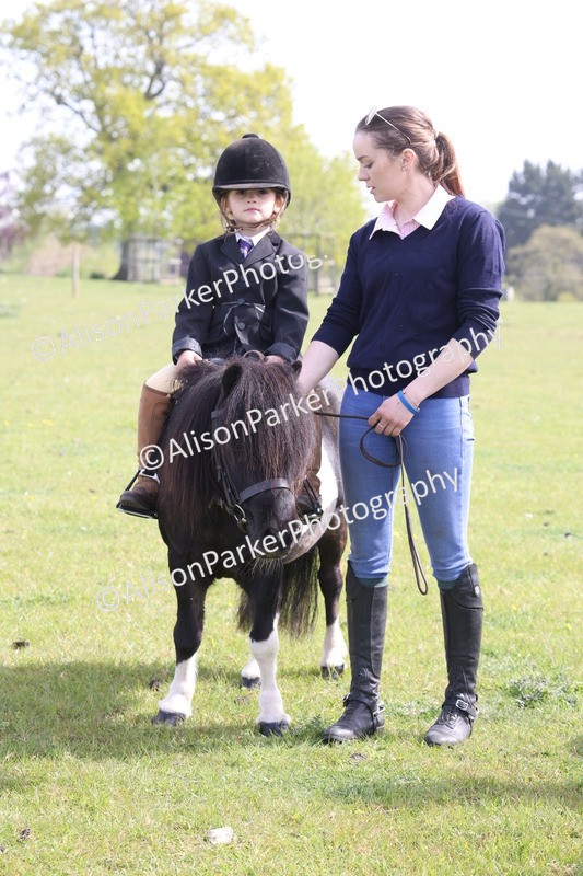 20260426-2482 - Class 31 - Leading Rein