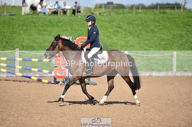 230902A-154352-02005 - Cls 4A Pony Big 95cm