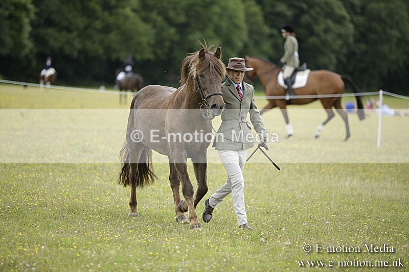 BVR160717-712 - Ring 2 BVRC Show 16/07/17