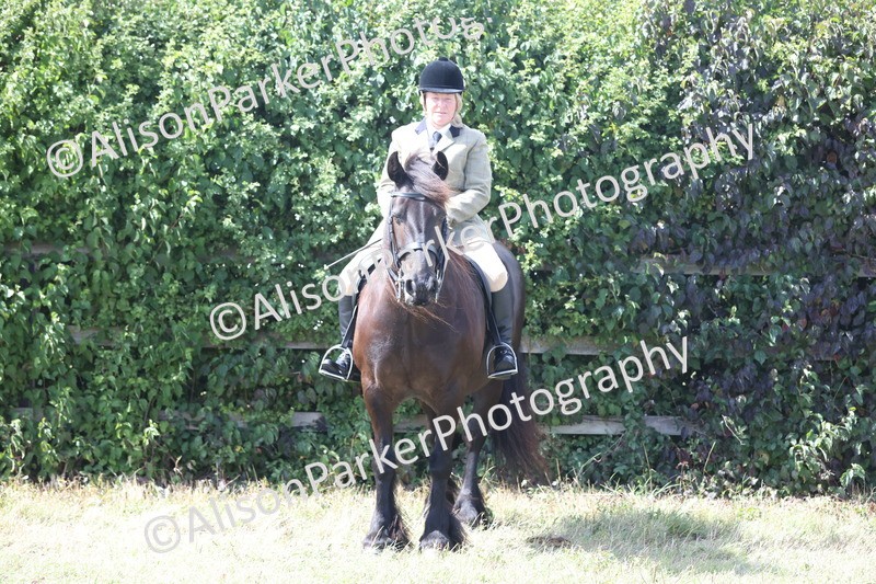 20250831-2994 - Class 19 - Mountain and Moorland