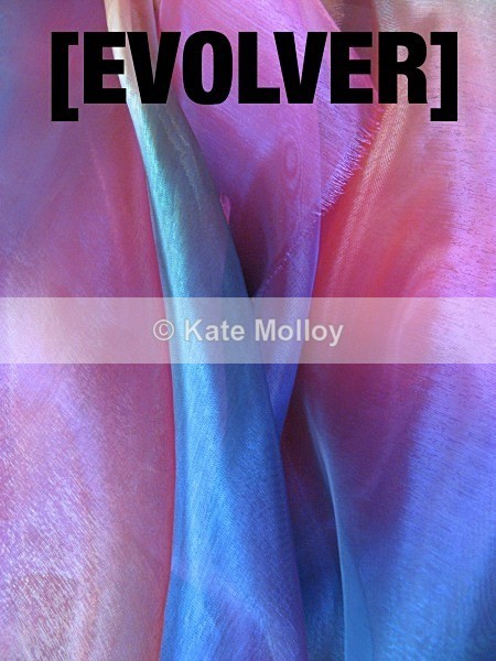 Calla - Evolver Prize 2011