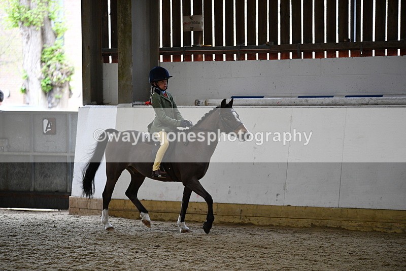 WJ5_6343 - Class 9 Ridden Veteran