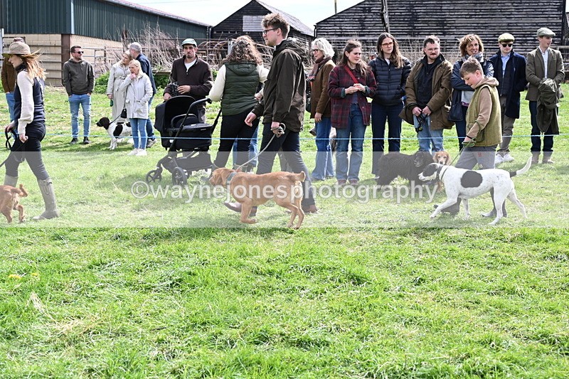 WJ6_8235 - Class 4 Prettiest Bitch