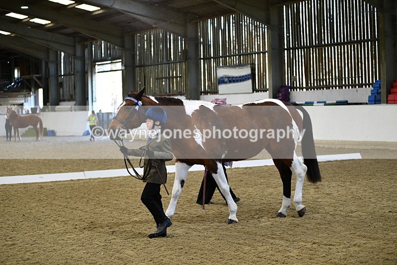 WJ5_3821 - Class 5 In Hand Veterans