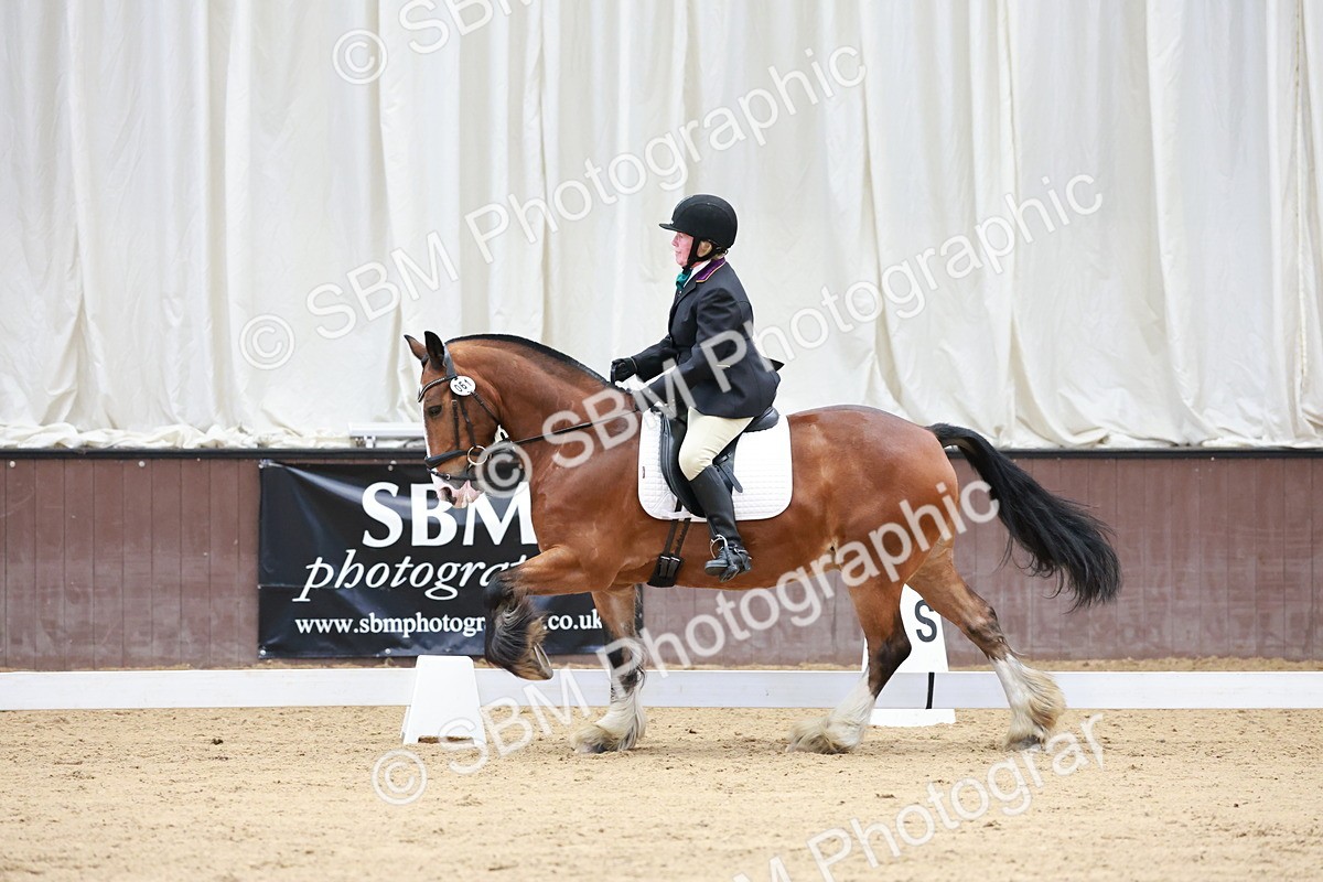 SBM_008105 - Class 6b - Novice 6 - 9.28-10.41