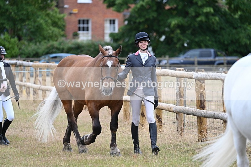 WJ7_9074 - Class 4a Prettiest Mare 14.2hh and over