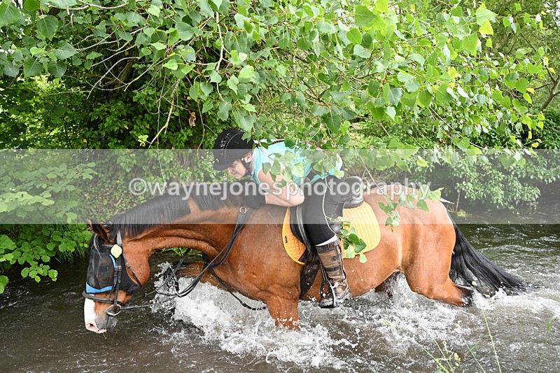 WJ7_2485 - Camera 2 Water Crossing