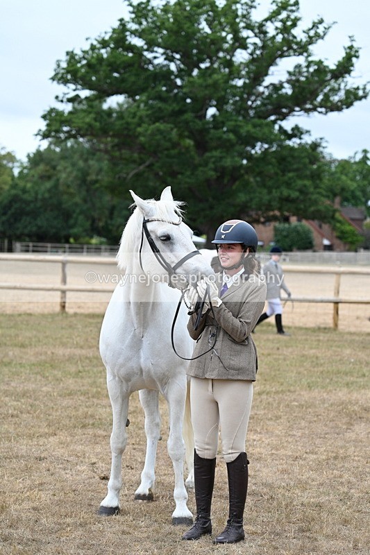 WJ7_9119 - Class 4a Prettiest Mare 14.2hh and over