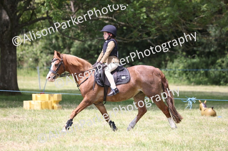 20260614-2012 - Class 21 - Novice Working Hunter Pony