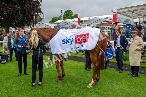150524-Race 1-Crystal Delight-6886 - Race 1 2.15pm Sky Bet Race To The Ebor Jorvik Handicap