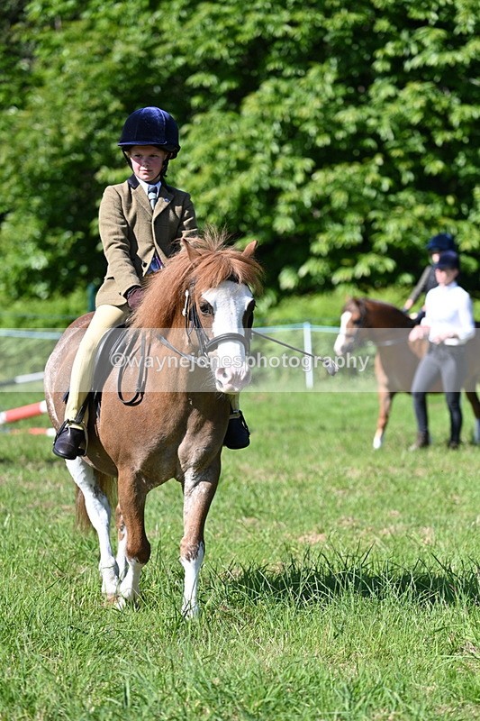 WJ7_0363 - Class 8 First Rally Pony