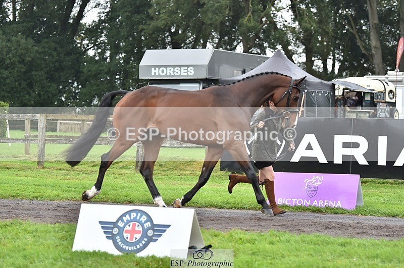 231018-123508-00380 - 045-HILDARE.REGARDE.MOI-Danielle.Mccormack-TrotUp