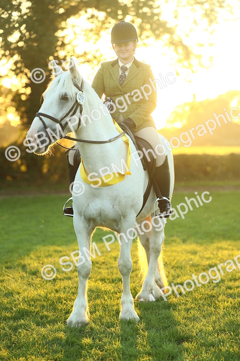 SBM_56737 - Fun & Versatile Supreme Championship