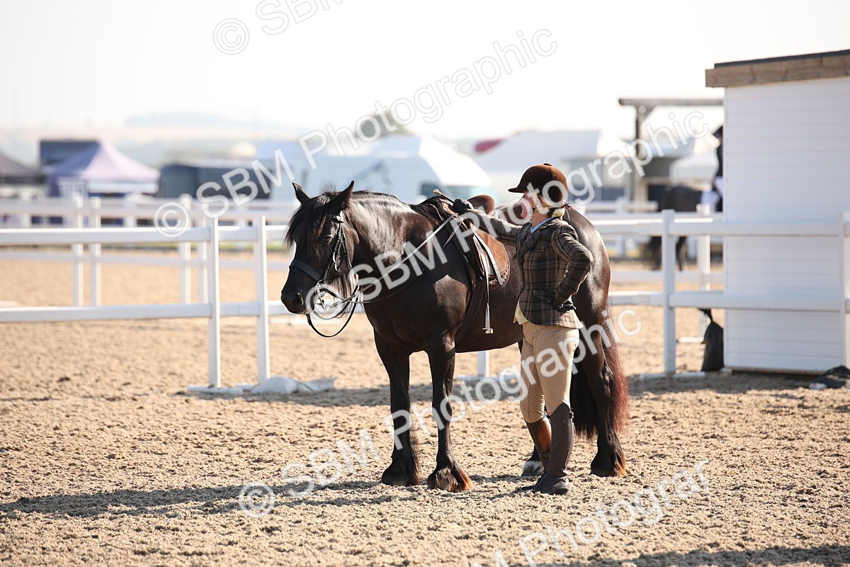 SBM_00680 - Class 14 Ridden M&M Wildcard