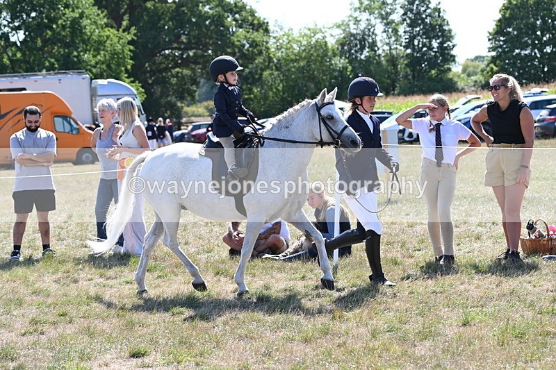 WJ6_7779 - Class 36 Lead Rein