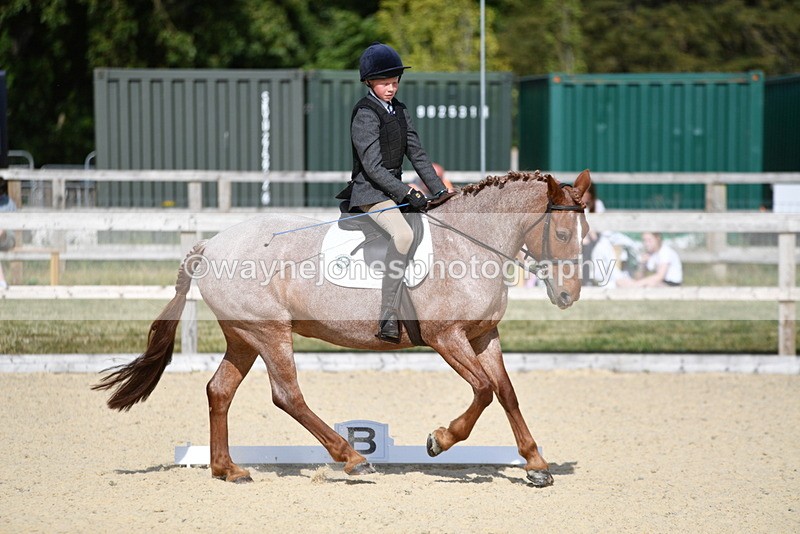 WJ5_8020 - Time 16:56 to 17:14