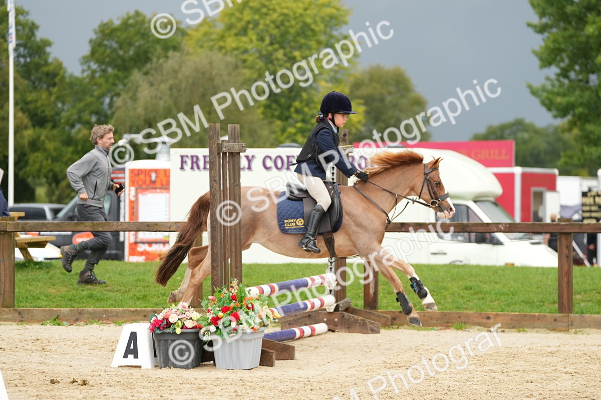 SBM_33416 - J5 - Junior Pony 50cm Championship