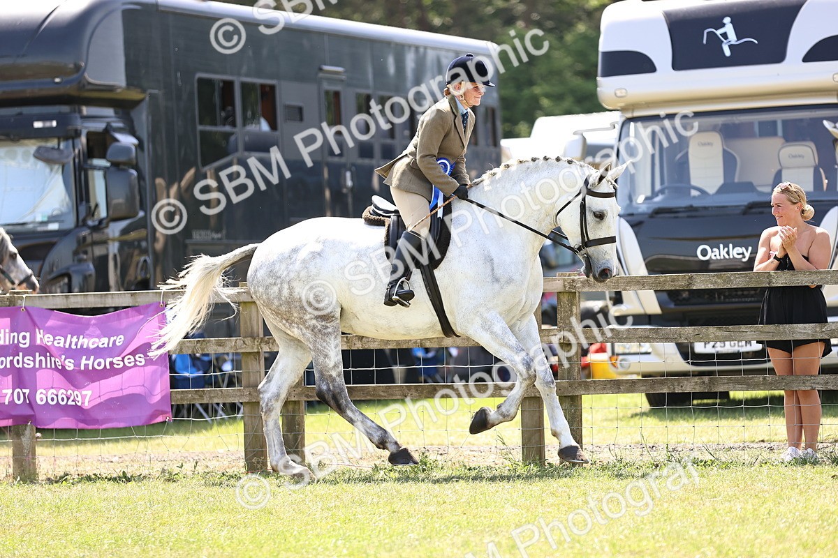 SBM_16243 - Class 79-80 - LIHS BSHA Rising Star Ridden Hunter