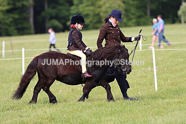 IMG_2254 - Working Hunter