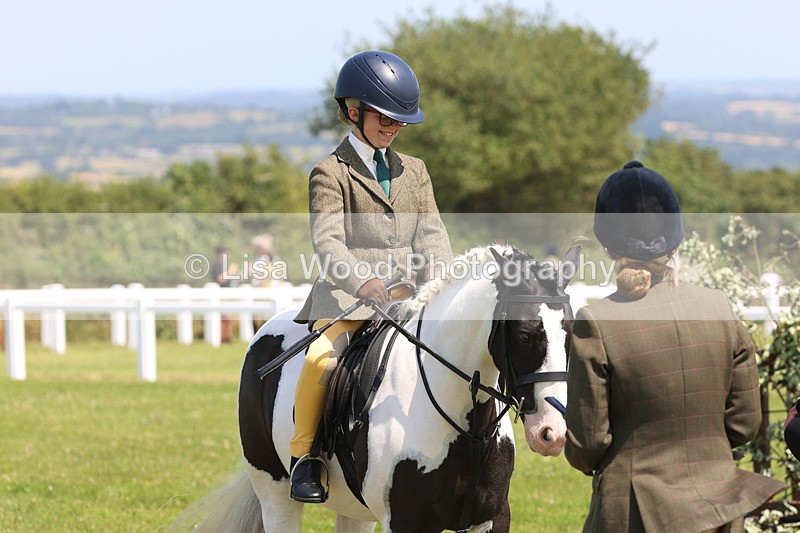 JPP_3076 - Class 22: Working Hunter 70cm