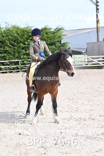 BPP_7646 - RING 1  (RIDDEN HORSES / IN HAND / VETERAN ETC)