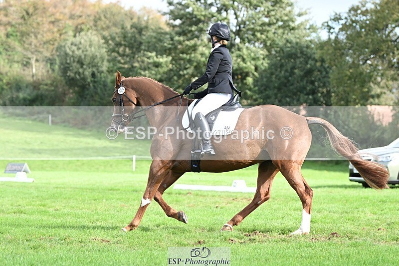 231020-121137-08021 - 484-JESATRAN.FIRECRACKER-Sally.Morton-DR