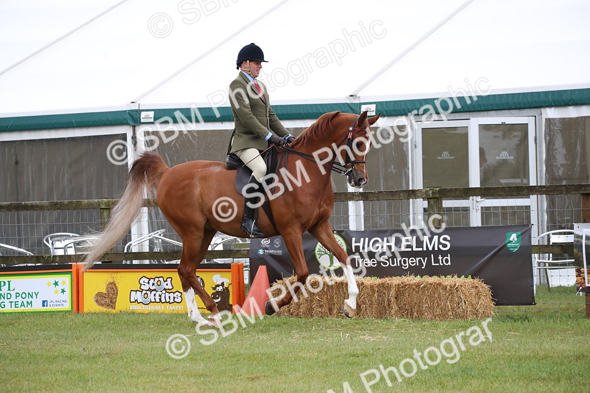SBM_03620 - Class 21 - 22 - Ridden Arab and Part Bred/Anglo Arab