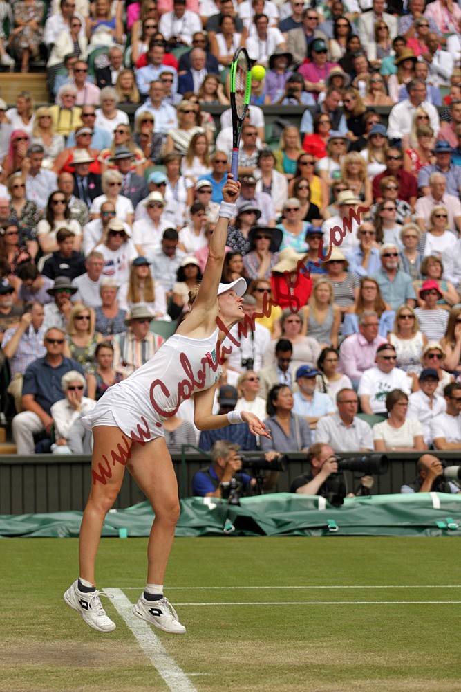 AF0I0055 - Wimbledon