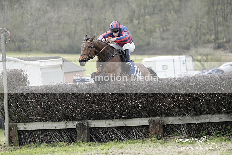 PtP 080423 292 - Dingley Races The Woodland Pytchley Hunt PtP 08/04/23