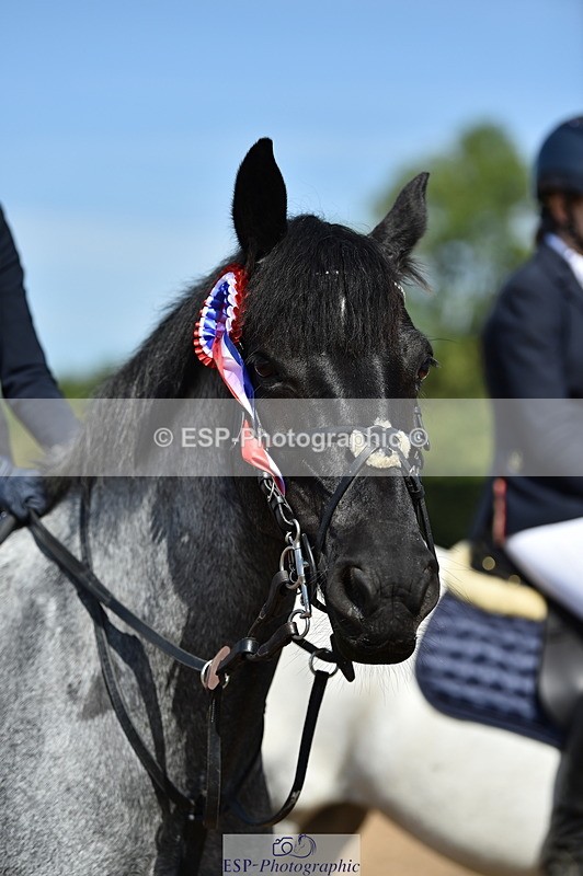 230903A-113718-04237 - Cls 18 Pony Brit Novice & 80cm Open