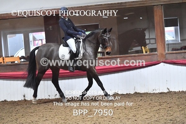 BPP_7950 - ELEM TEST 6