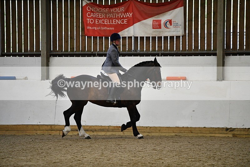 WJ5_7763 - Class 13 Ridden Part Breed