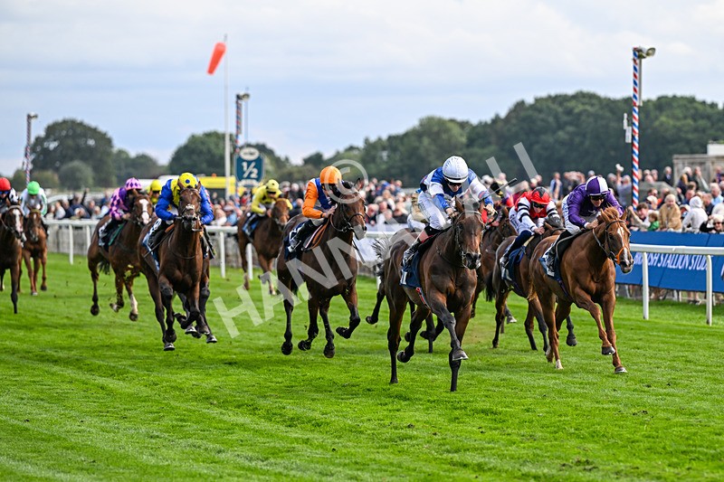 210826-Race 6-Benjamin Hornigold-7148 - Race 6 16.45pm British Stallion Studs EBF Convivial Maiden Stakes