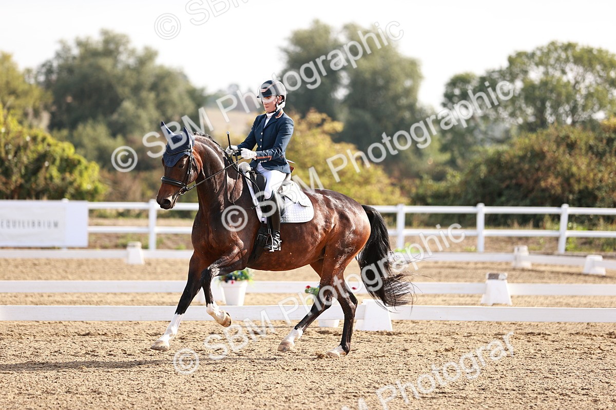 SBM_016834 - Class 10 - Medium 6