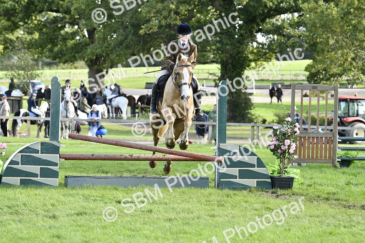 SBM_49960 - S34 - Novice & Newcomers Working Hunter