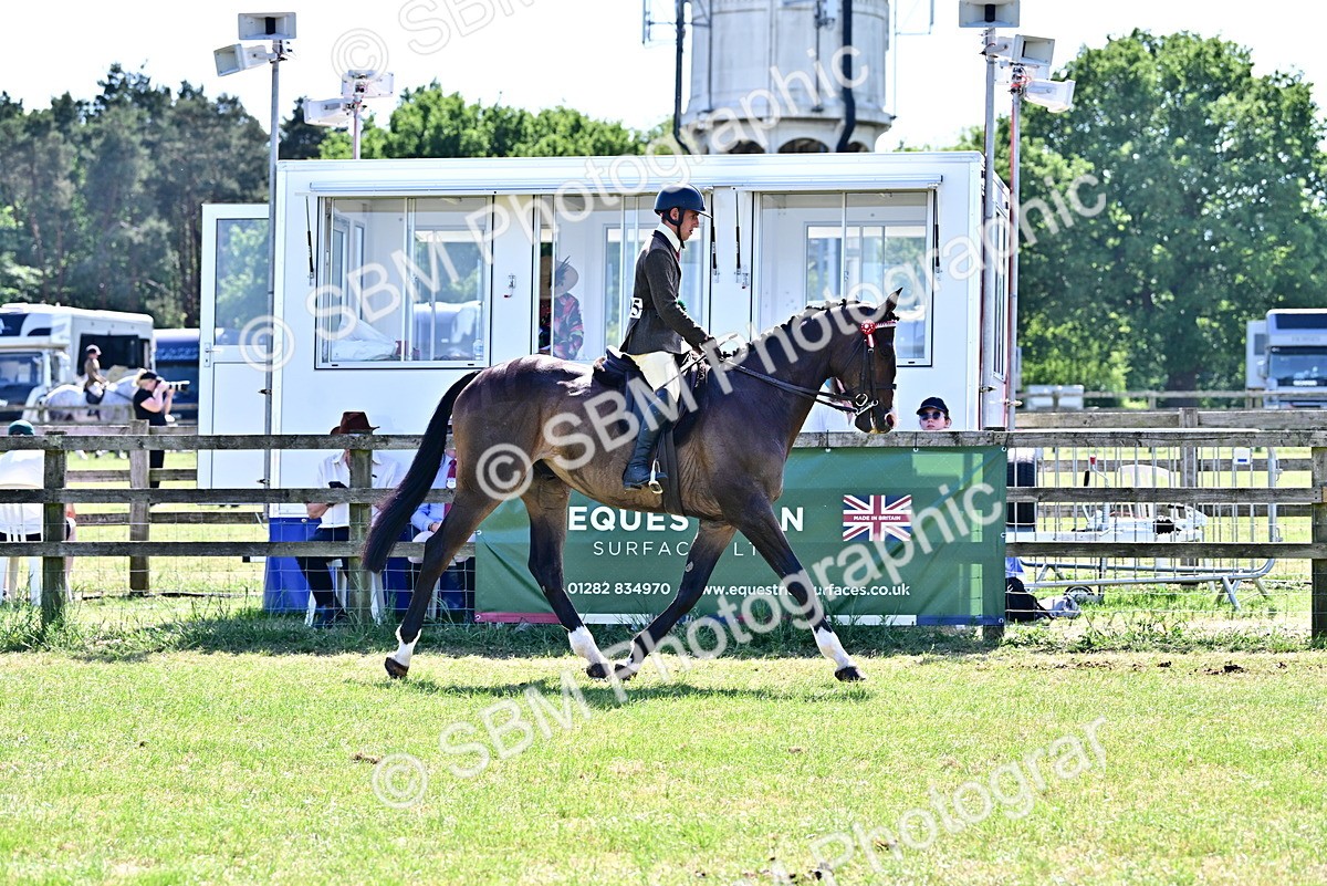 SBM_18260 - Class 99-100 - Retraining of Racehorses Ridden