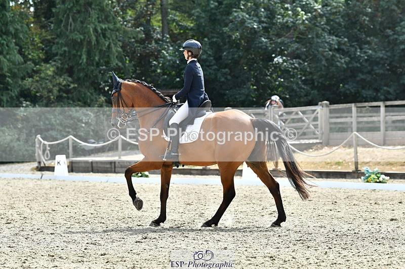 260802A-153431-07505 - Intermediate Bronze