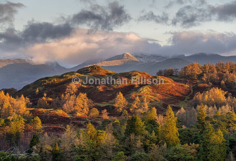 Views From Tarn Hows - Lake District