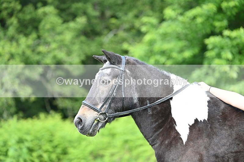 WJ7_1637 - Class 11 Condition & Turnout