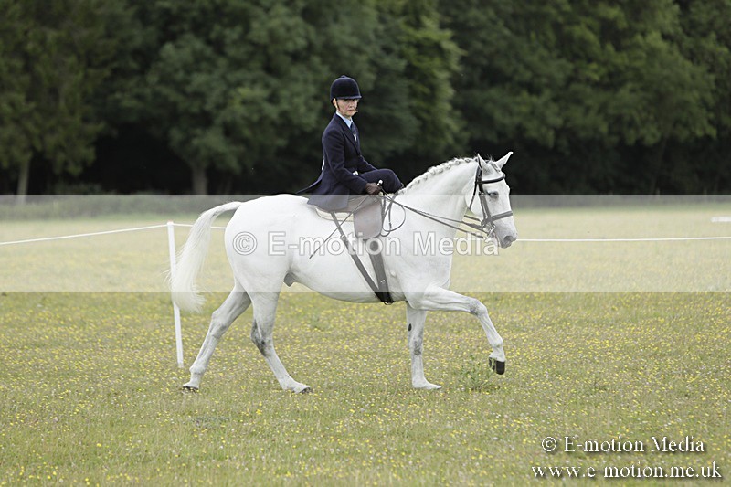BVR160717-2366 - Side Saddle Classes 16/07/17
