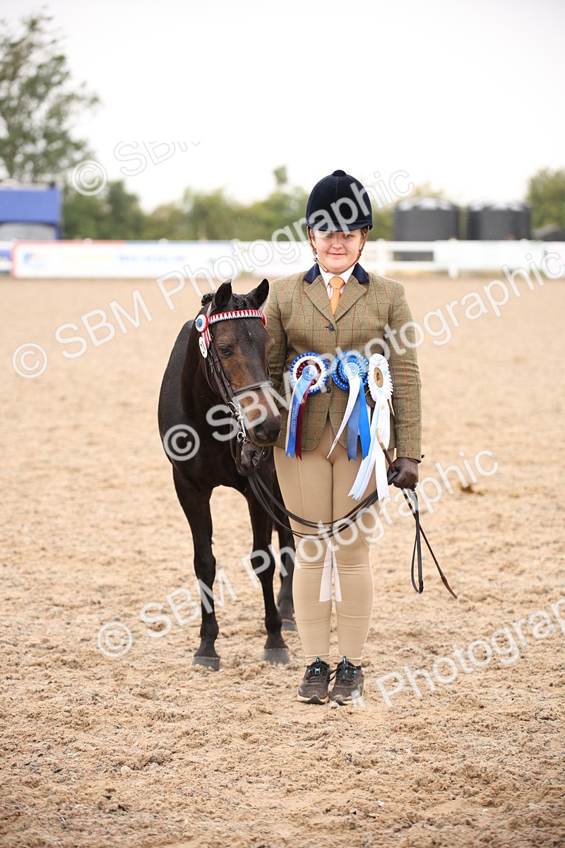 SBM_20145 - Class 702 - IH  Show Horse Pony