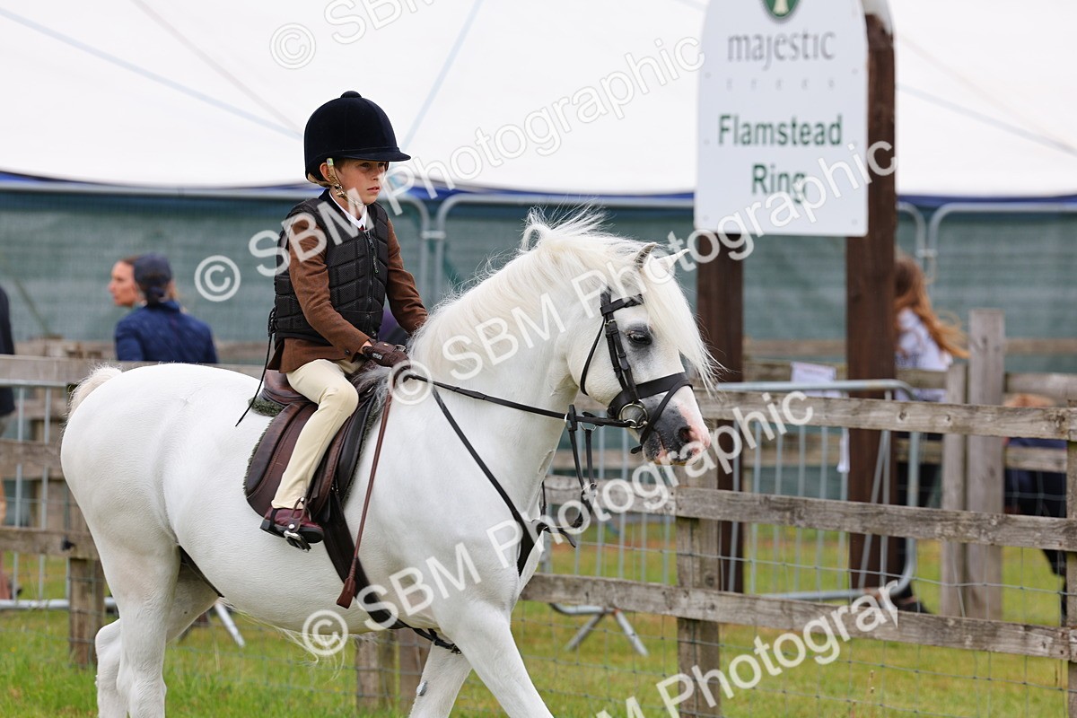 SBM_08419 - Class 42-43 - LIHS BSPS Heritage Working Sports Pony